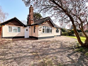 Front- click for photo gallery